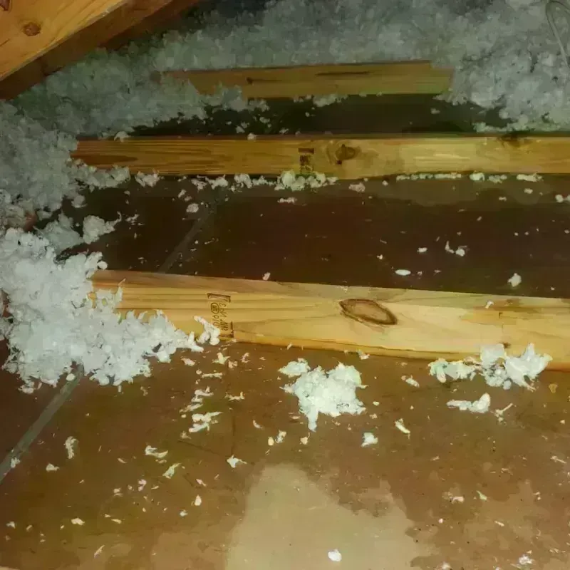 Attic Water Damage in Young County, TX