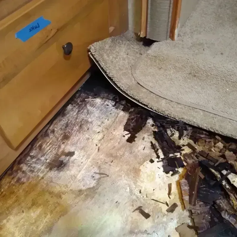 Wood Floor Water Damage in Young County, TX